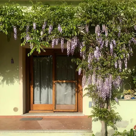Luciana House Apartment Olbia Exterior photo