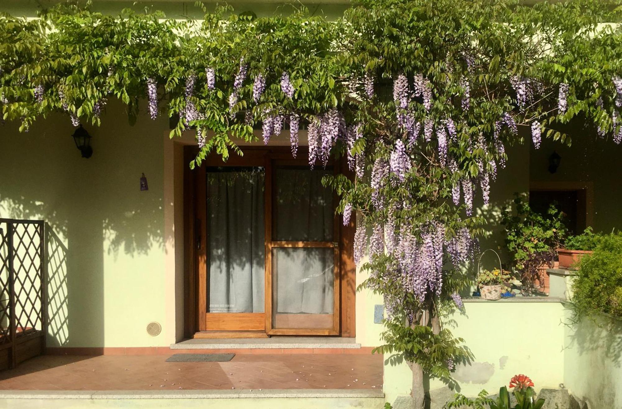 Luciana House Apartment